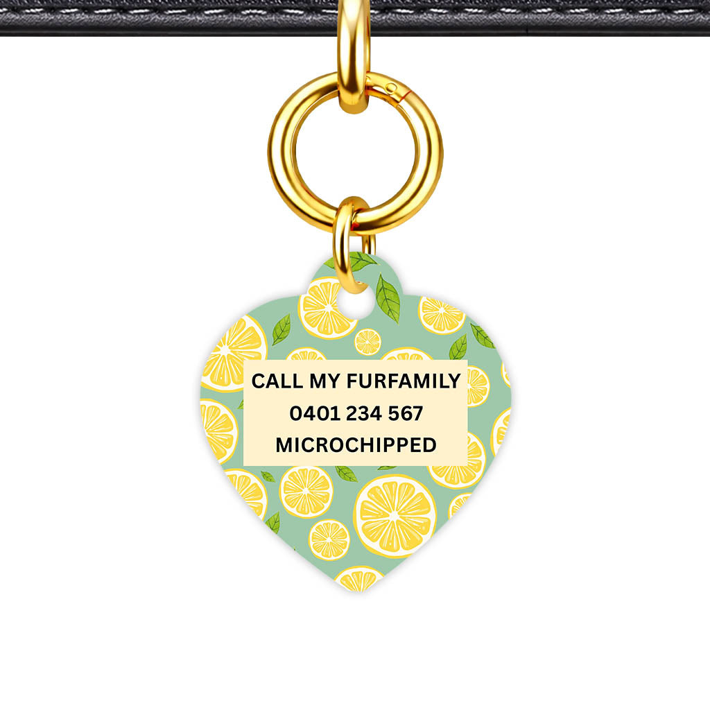 Lemon Slices Classic Pet Id (Dog Tag & Cat Tag)