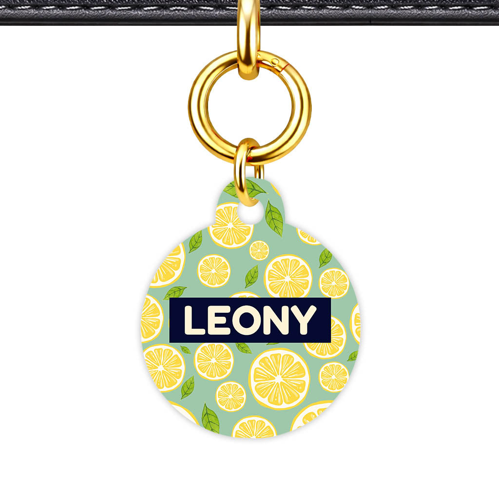 Lemon Slices QR Smart Pet Id Tag (Dog Tag & Cat Tag)