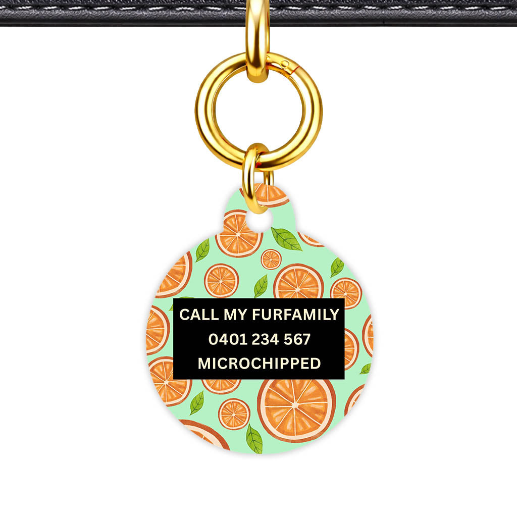 Orange Slices Classic Pet Id - image 30