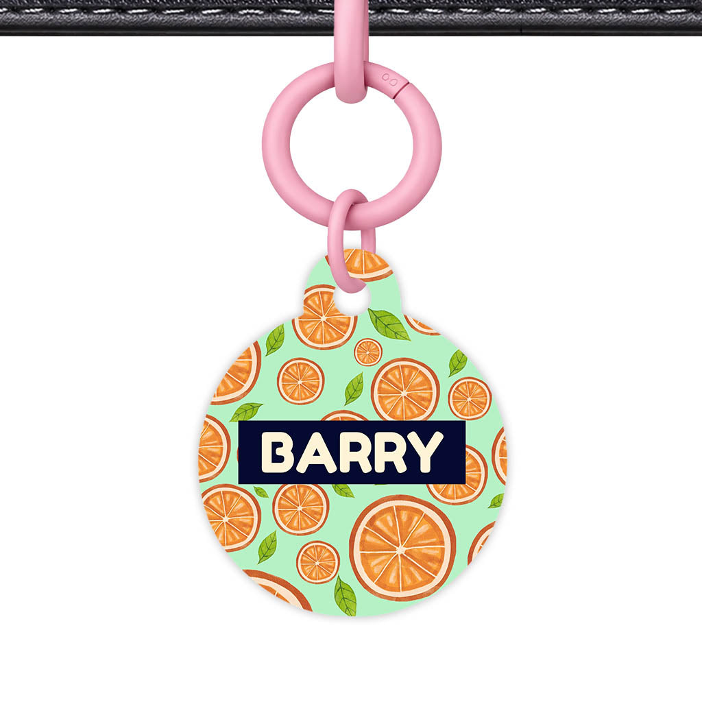 Orange Slices QR Smart Pet Id Tag (Dog Tag & Cat Tag)