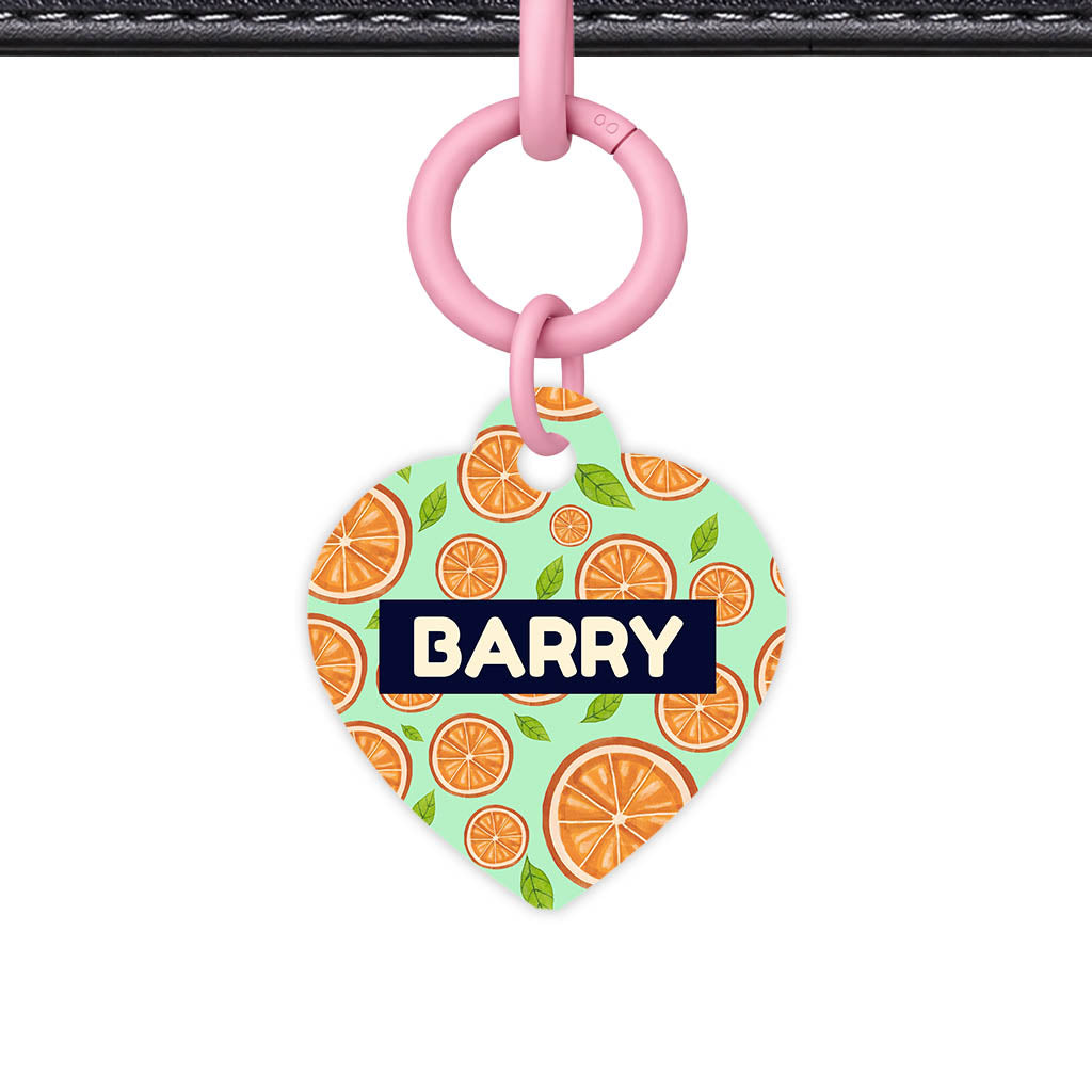 Orange Slices Classic Pet Id (Dog Tag & Cat Tag)