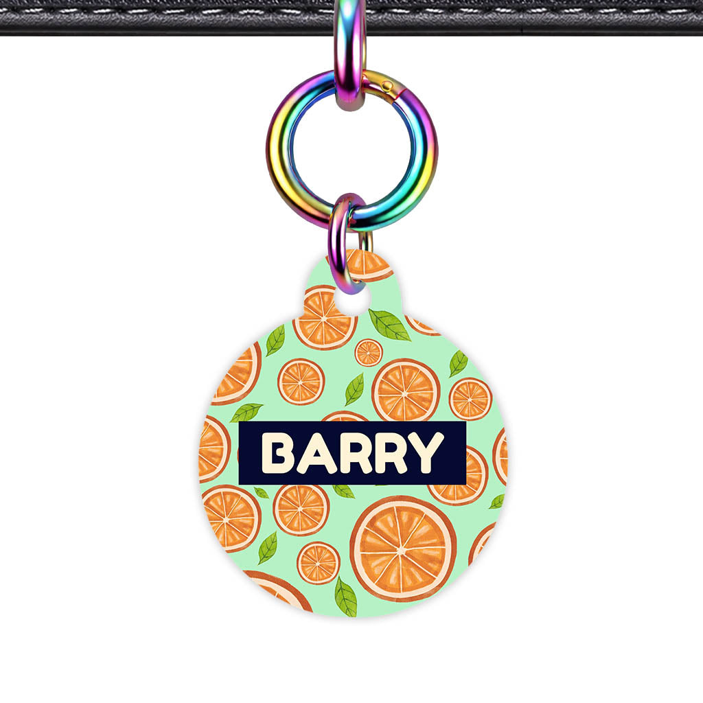Orange Slices Classic Pet Id (Dog Tag & Cat Tag)