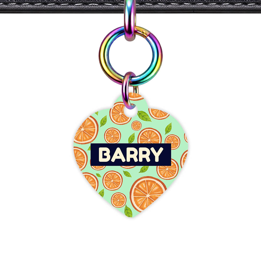 Orange Slices Classic Pet Id (Dog Tag & Cat Tag)