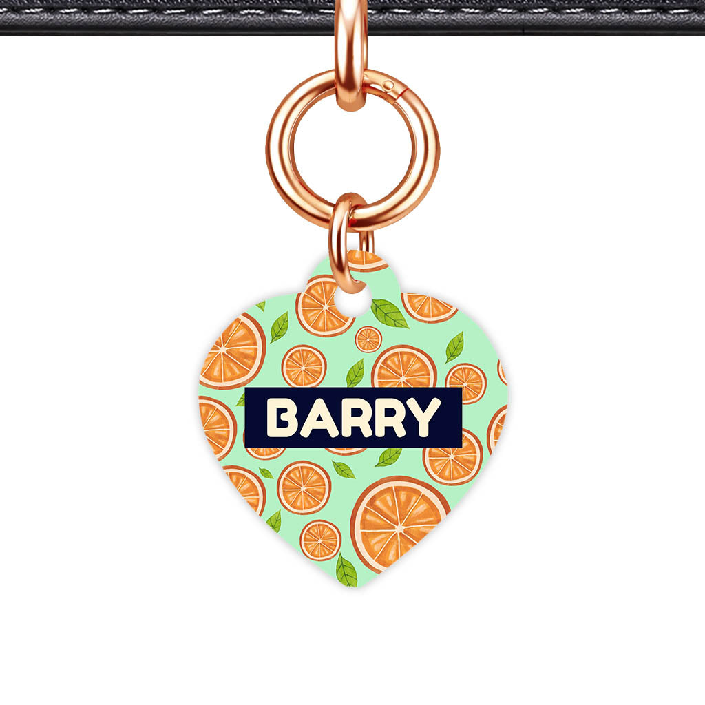 Orange Slices QR Smart Pet Id Tag (Dog Tag & Cat Tag)
