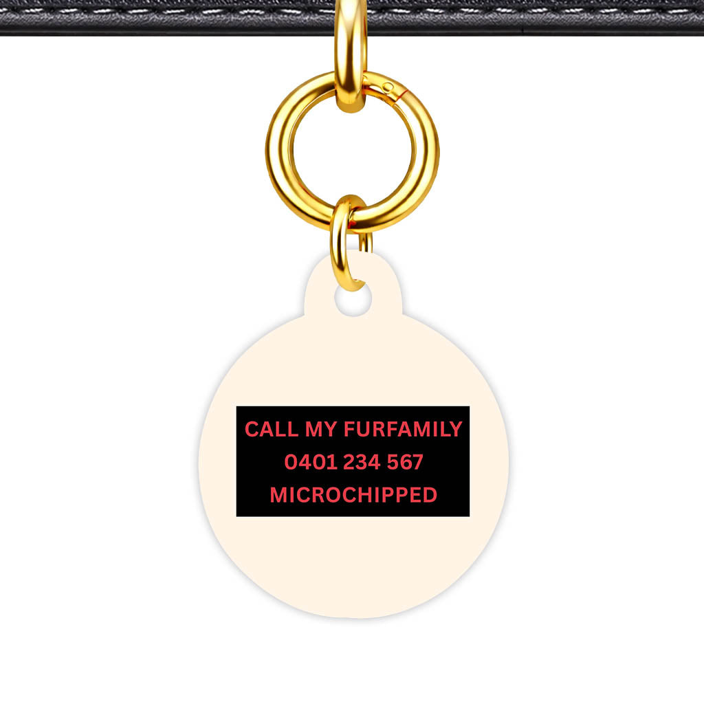 Red and Cream Classic Pet Id - image 14