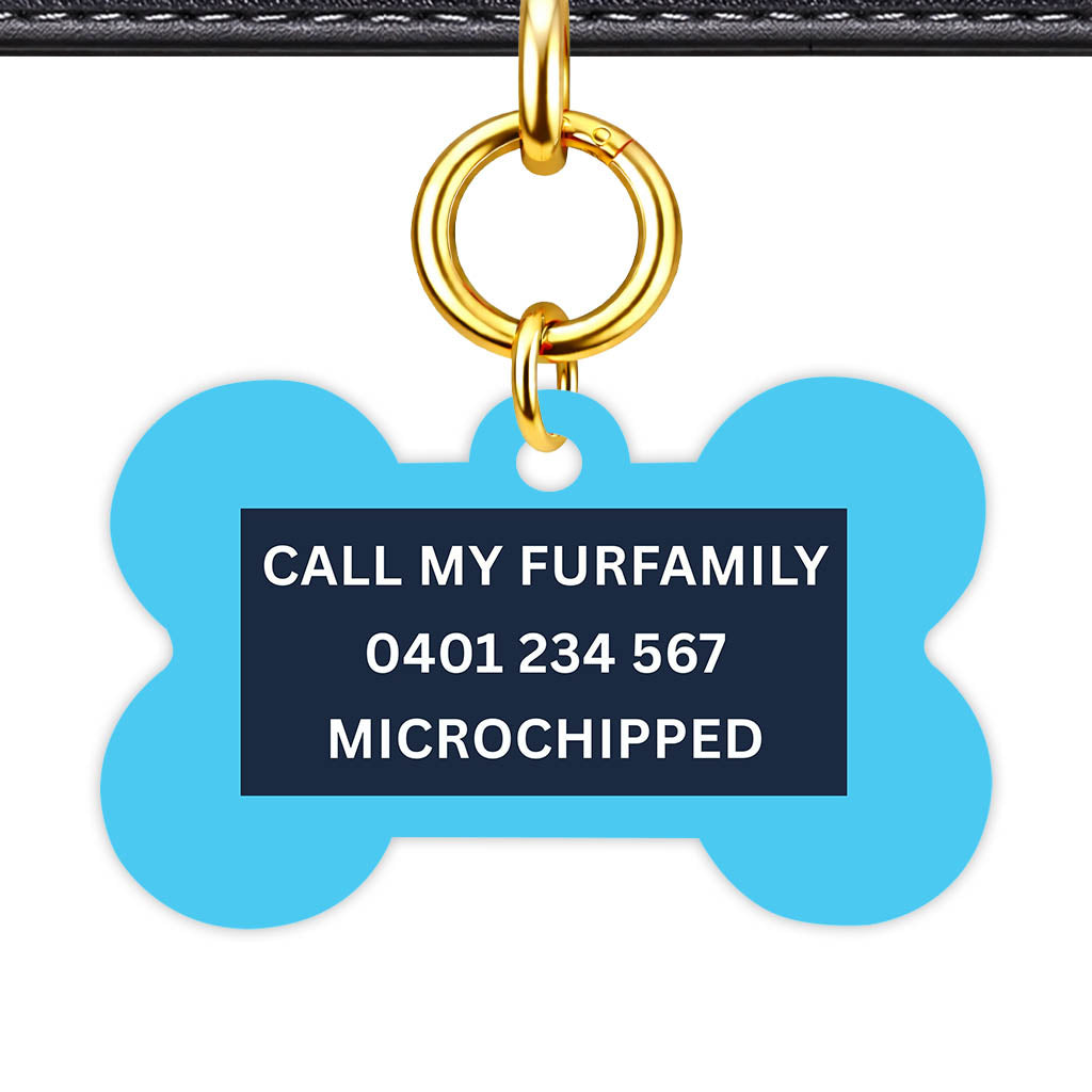Blue and Navy Classic Pet Id - image 27