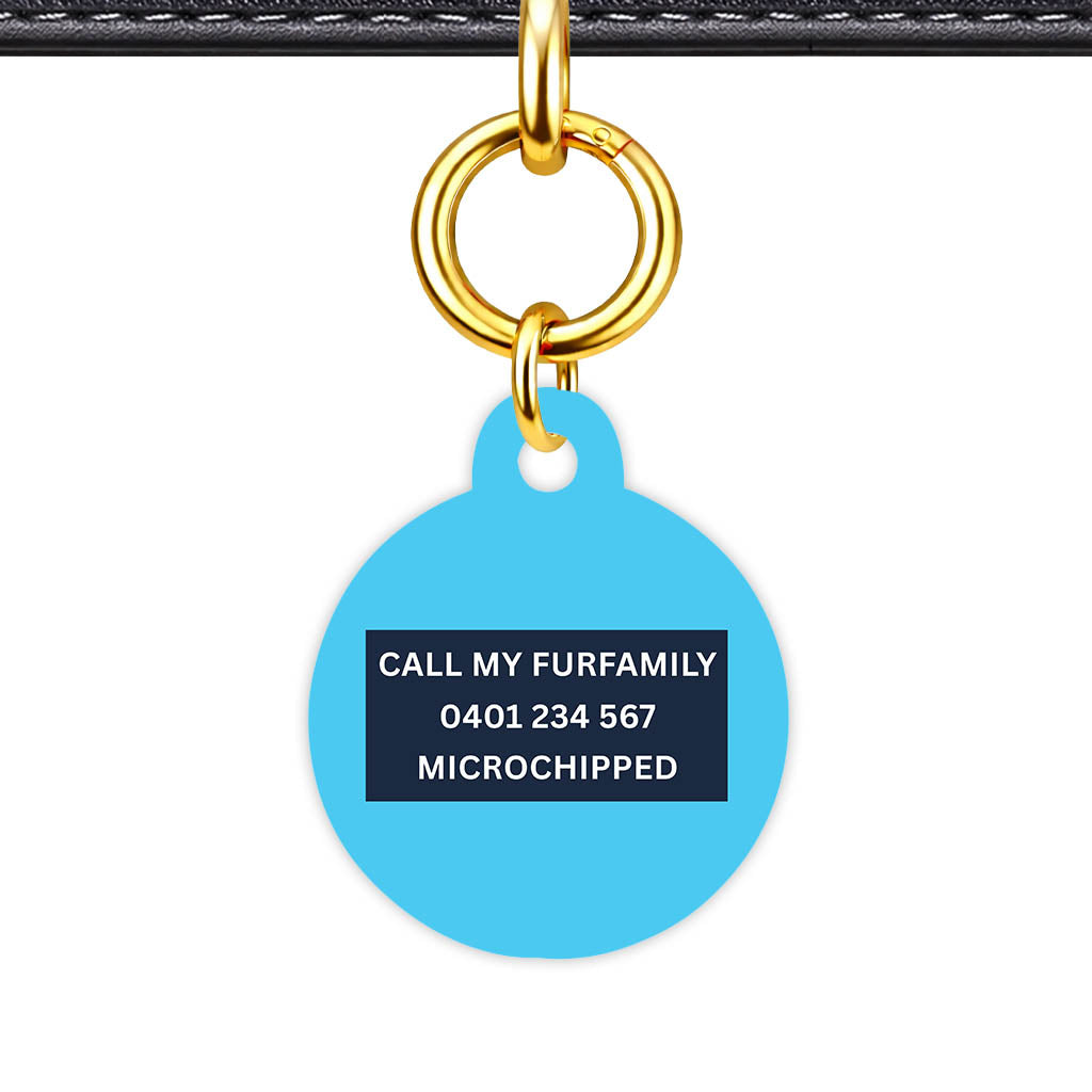 Blue and Navy Classic Pet Id - image 26