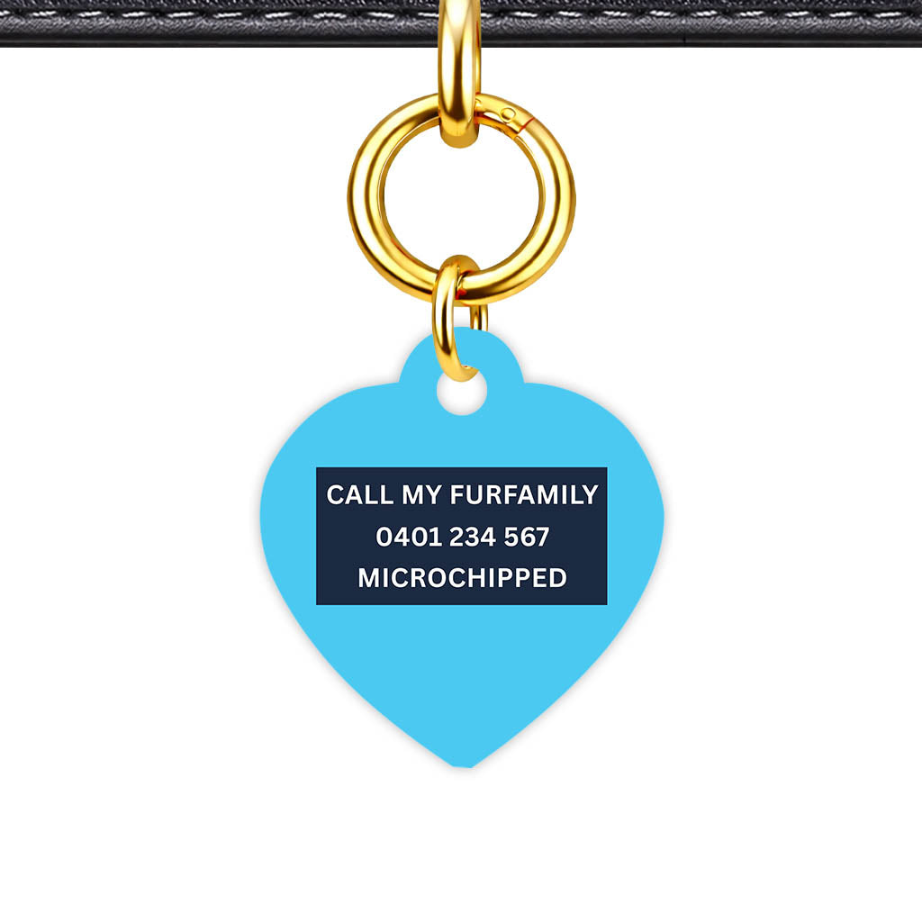 Blue and Navy Classic Pet Id - image 28