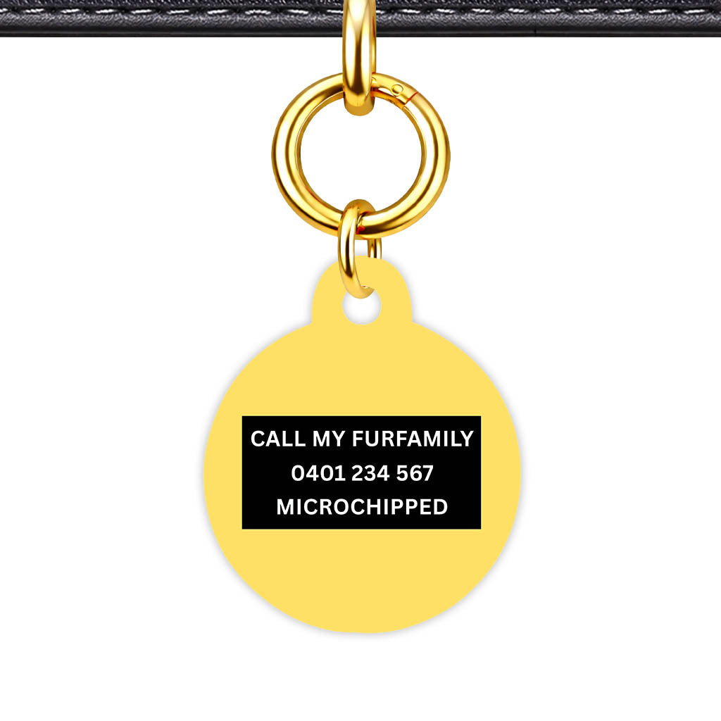 Yellow Classic Pet Id - image 22