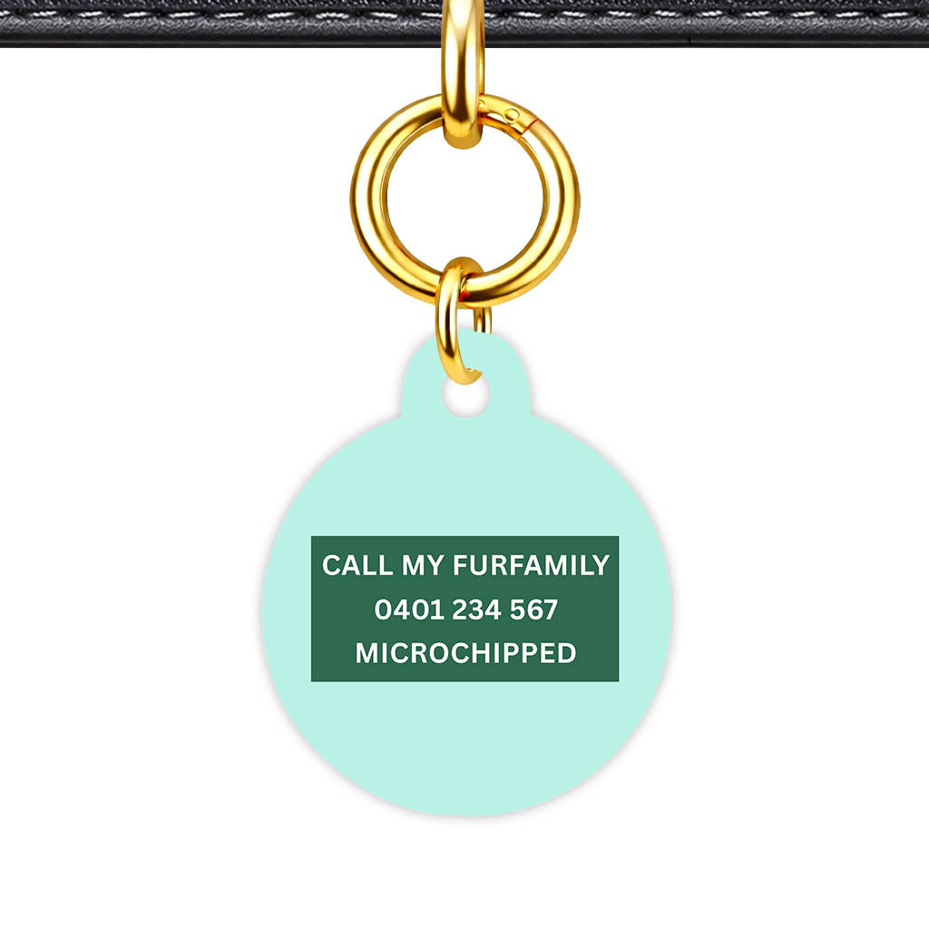 Mint Classic Pet Id (Dog Tag & Cat Tag)