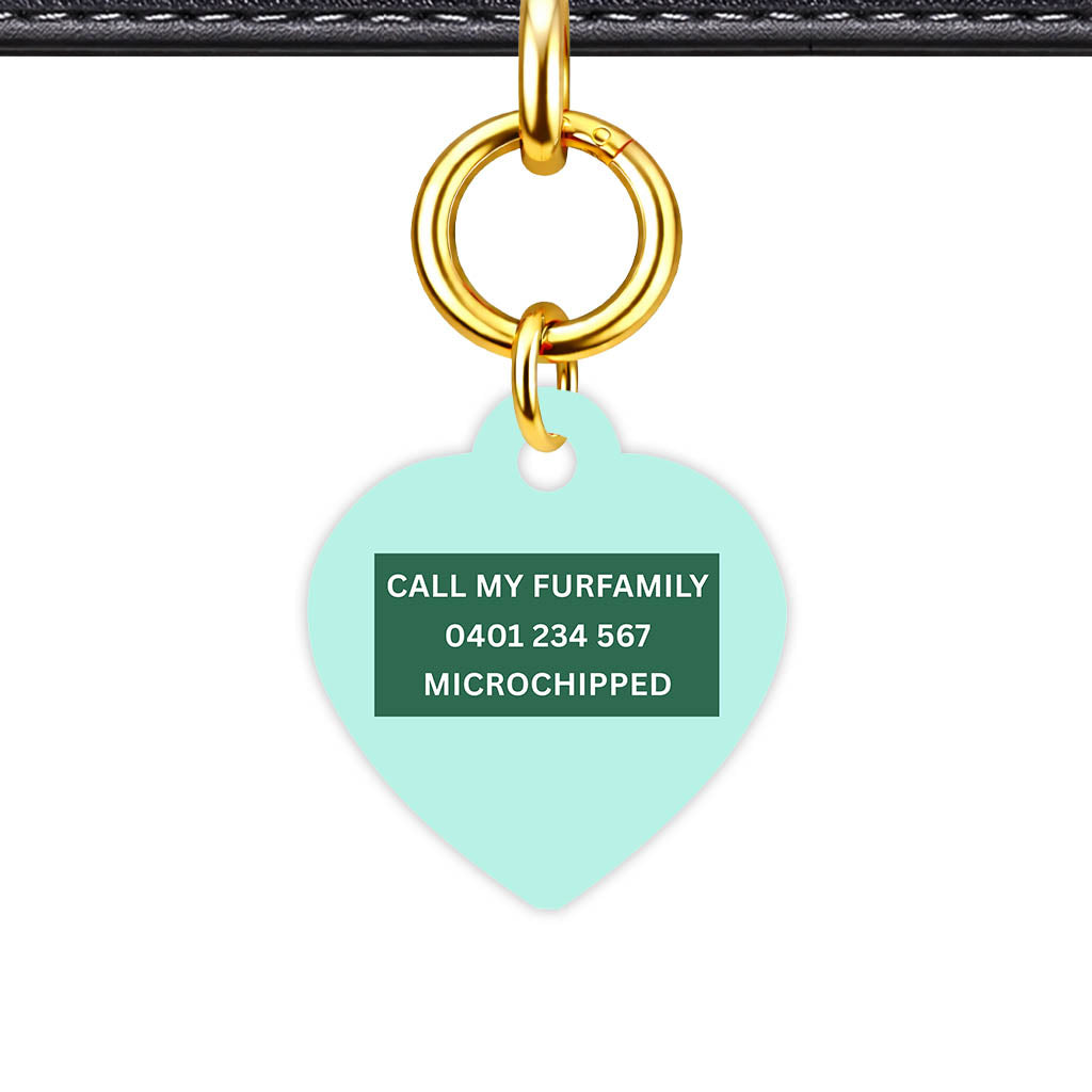 Mint Classic Pet Id (Dog Tag & Cat Tag)