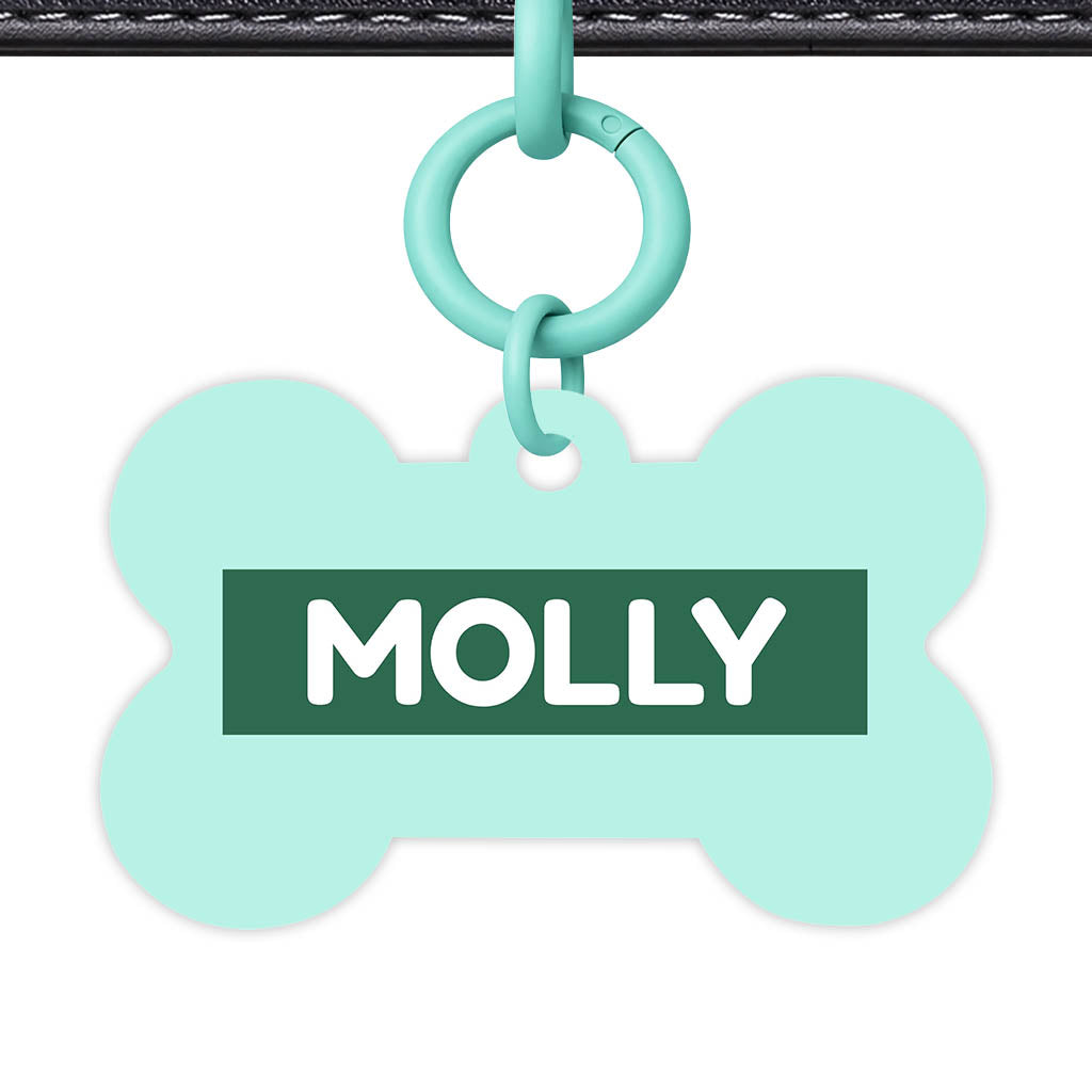 Mint QR Smart Pet Id Tag (Dog Tag & Cat Tag)