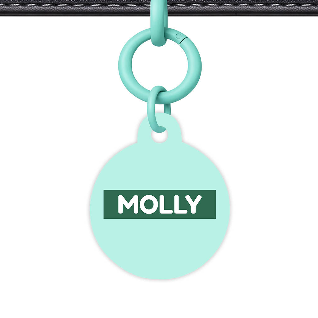 Mint Classic Pet Id (Dog Tag & Cat Tag)