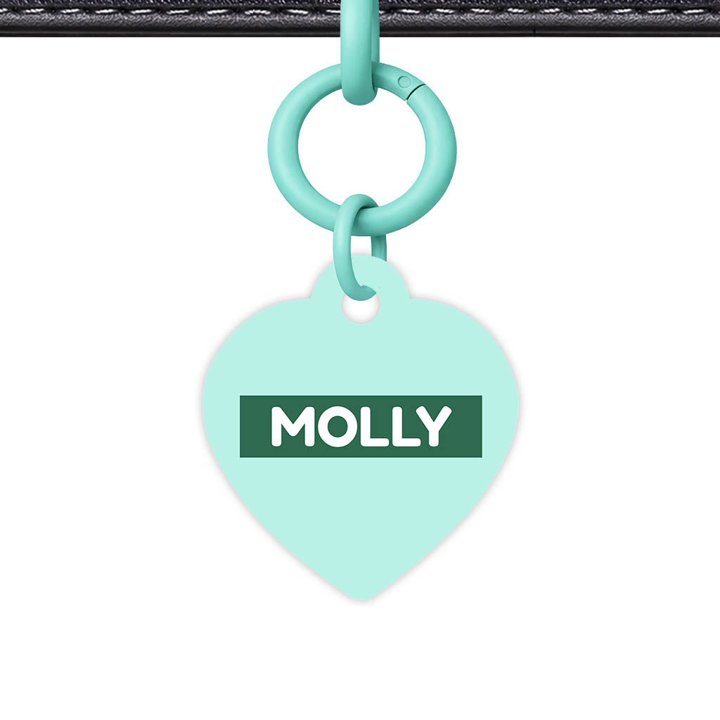 Mint QR Smart Pet Id Tag (Dog Tag & Cat Tag)