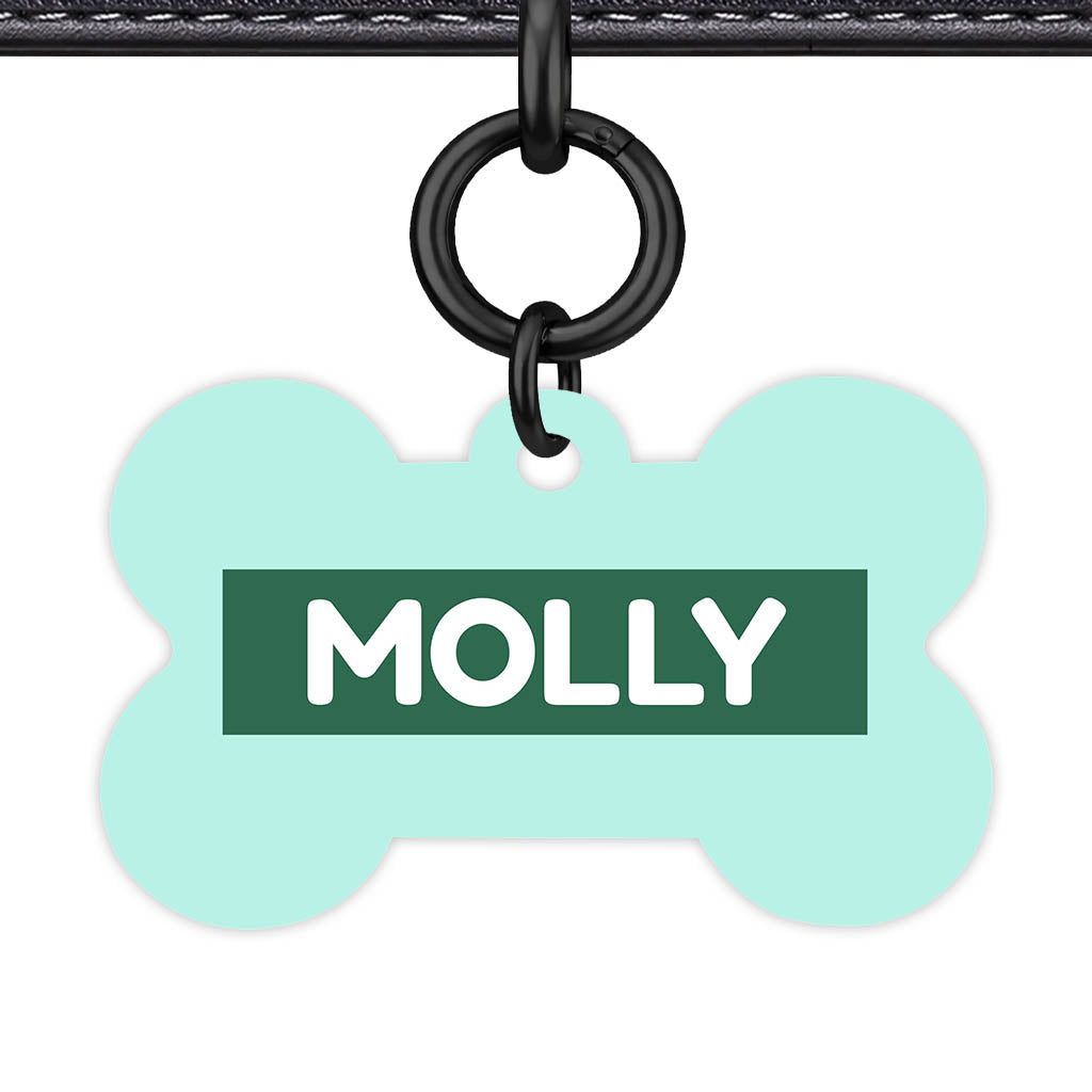 Mint QR Smart Pet Id Tag (Dog Tag & Cat Tag)