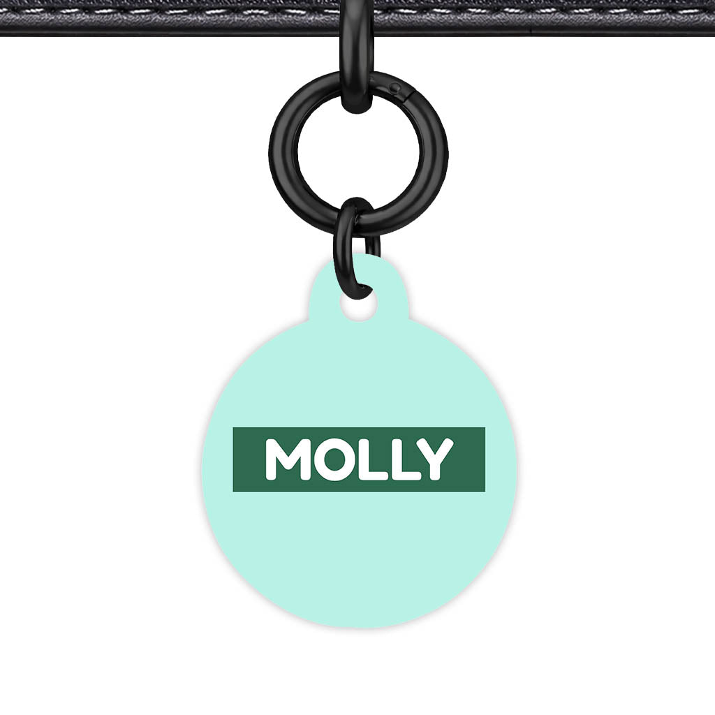 Mint Classic Pet Id (Dog Tag & Cat Tag)