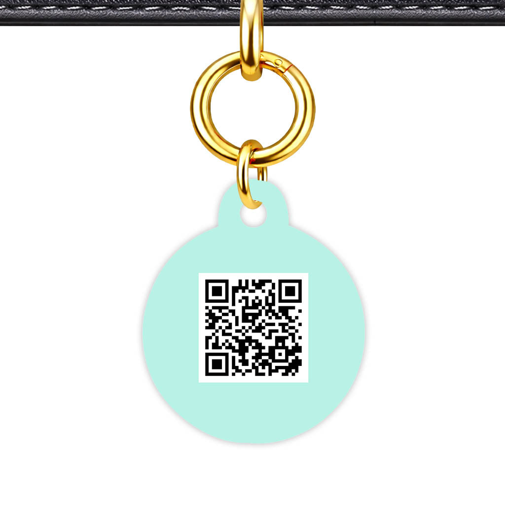 Mint QR Smart Pet Id Tag (Dog Tag & Cat Tag)