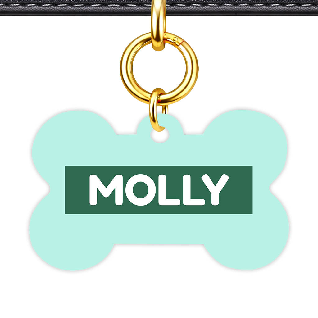 Mint QR Smart Pet Id Tag (Dog Tag & Cat Tag)