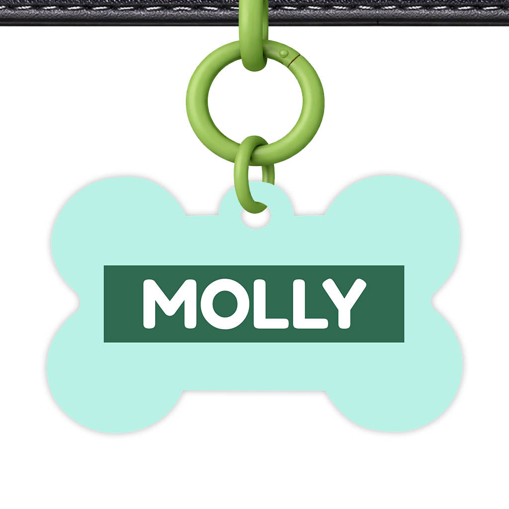 Mint QR Smart Pet Id Tag (Dog Tag & Cat Tag)
