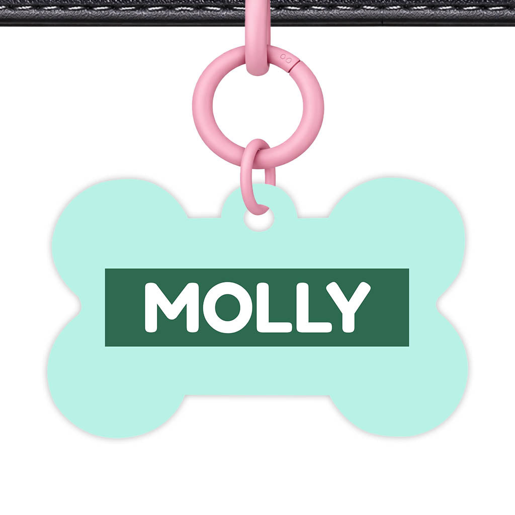 Mint QR Smart Pet Id Tag (Dog Tag & Cat Tag)