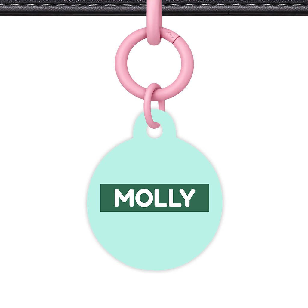 Mint Classic Pet Id (Dog Tag & Cat Tag)