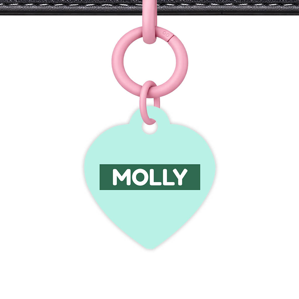 Mint QR Smart Pet Id Tag (Dog Tag & Cat Tag)