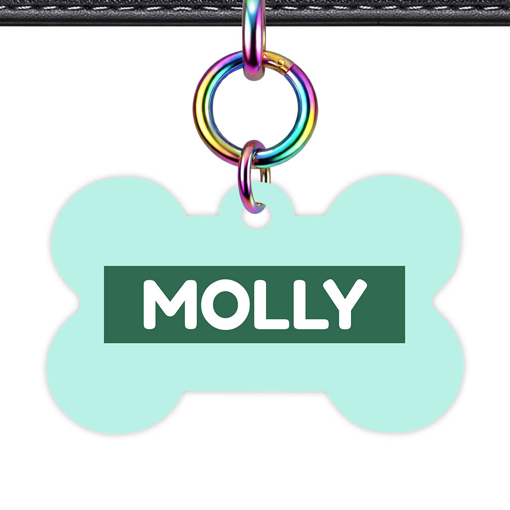 Mint QR Smart Pet Id Tag (Dog Tag & Cat Tag)
