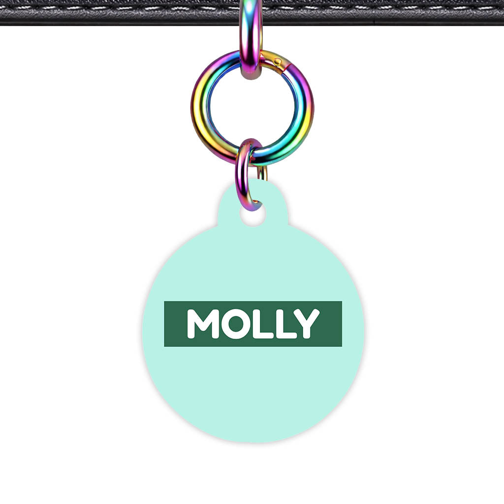 Mint QR Smart Pet Id Tag (Dog Tag & Cat Tag)