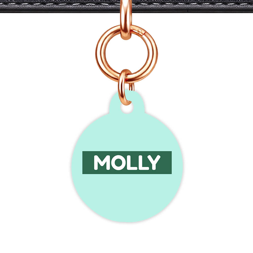 Mint QR Smart Pet Id Tag (Dog Tag & Cat Tag)