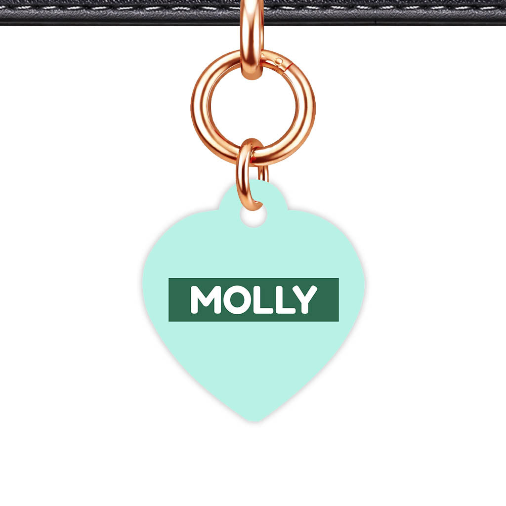 Mint QR Smart Pet Id Tag (Dog Tag & Cat Tag)