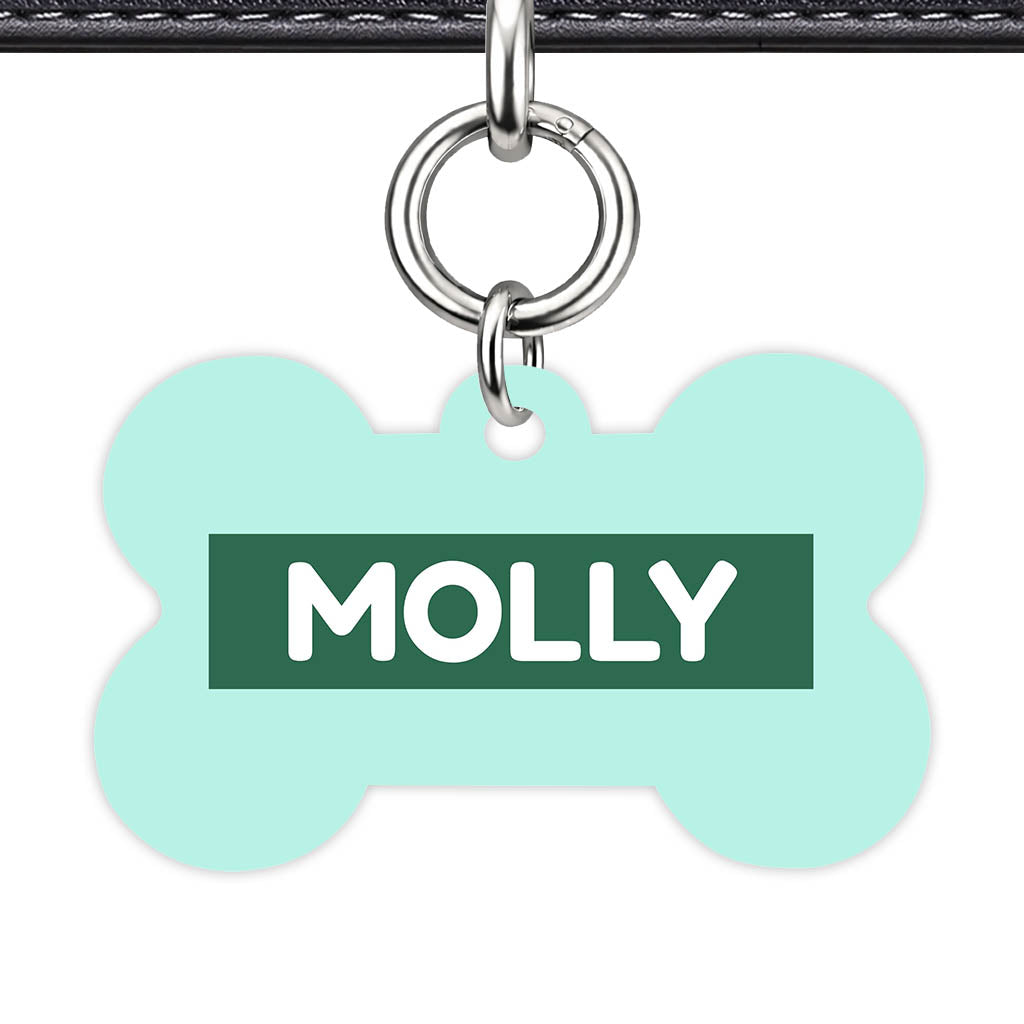 Mint QR Smart Pet Id Tag (Dog Tag & Cat Tag)