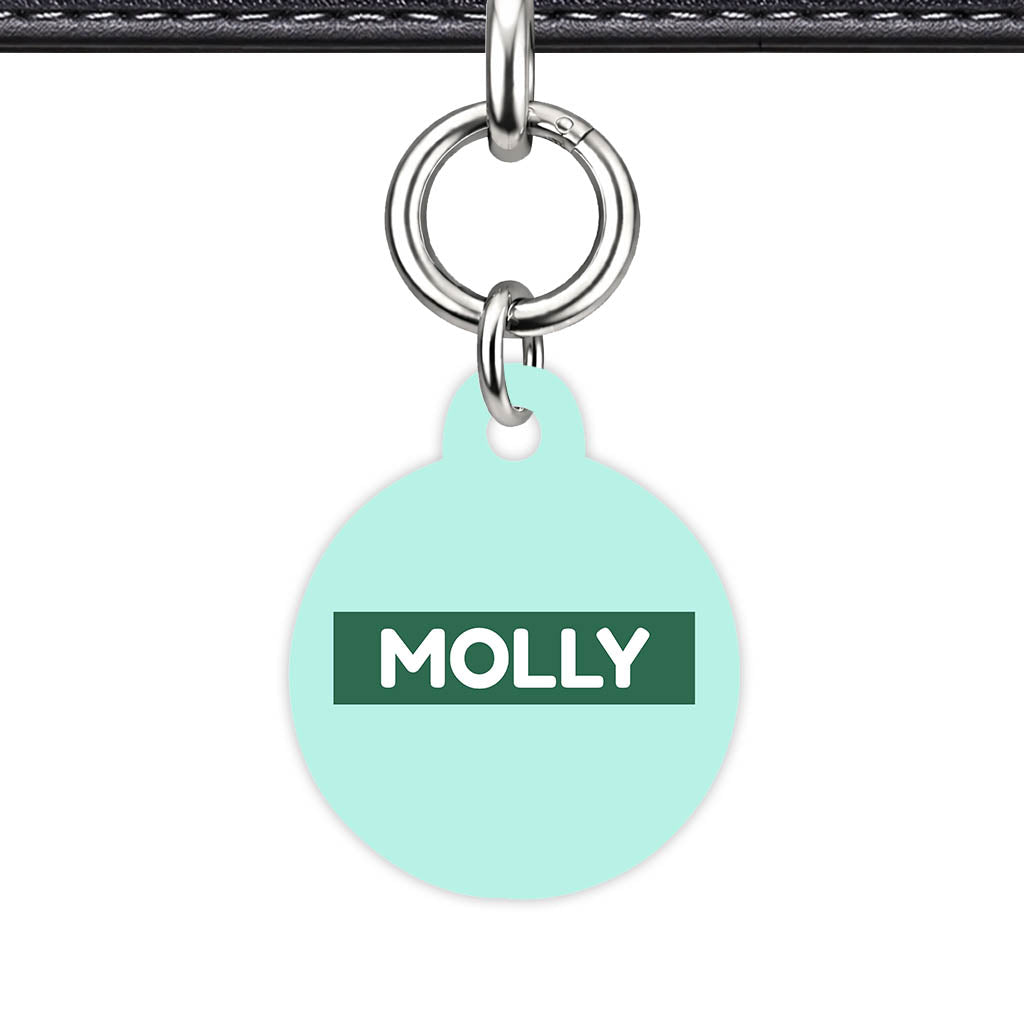Mint Classic Pet Id (Dog Tag & Cat Tag)