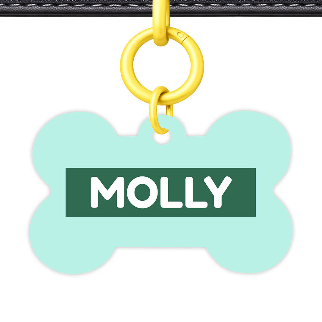 Mint QR Smart Pet Id Tag (Dog Tag & Cat Tag)