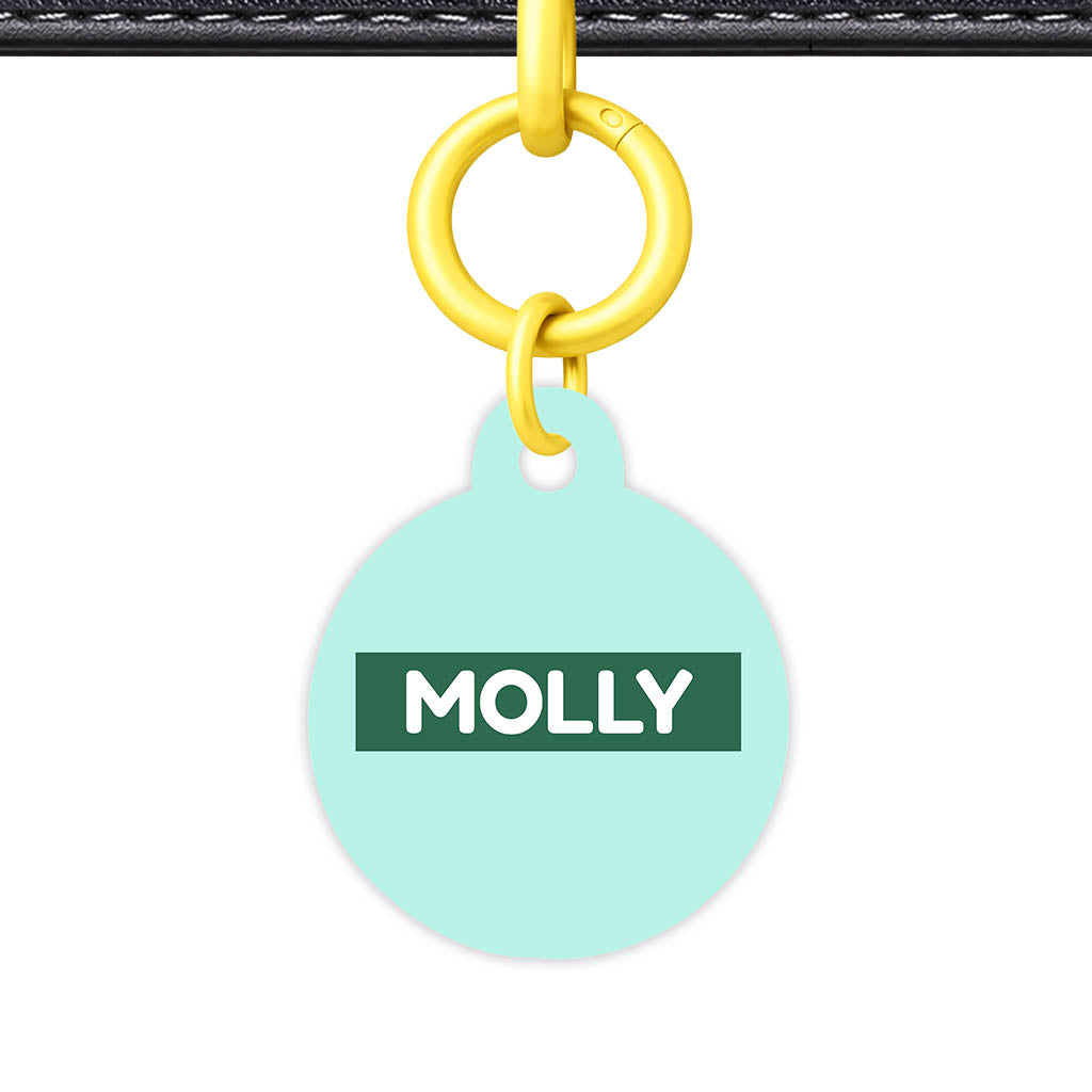 Mint QR Smart Pet Id Tag (Dog Tag & Cat Tag)