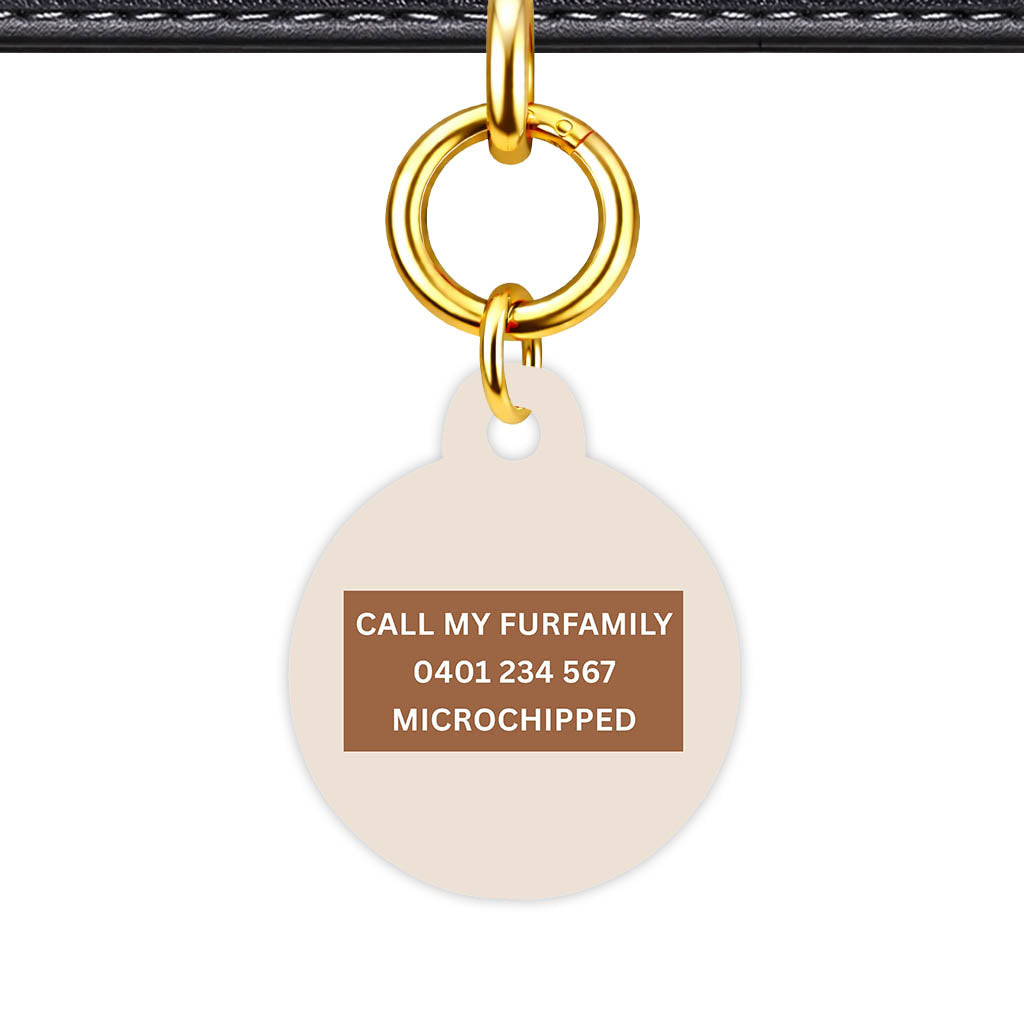 Beige Classic Pet Id - image 23