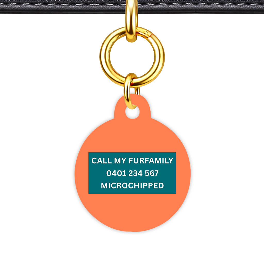 Orange Classic Pet Id (Dog Tag & Cat Tag)