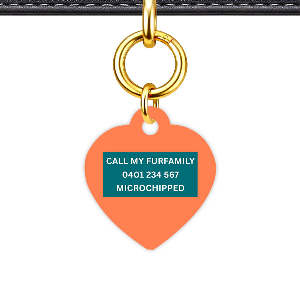 Orange Classic Pet Id (Dog Tag & Cat Tag)