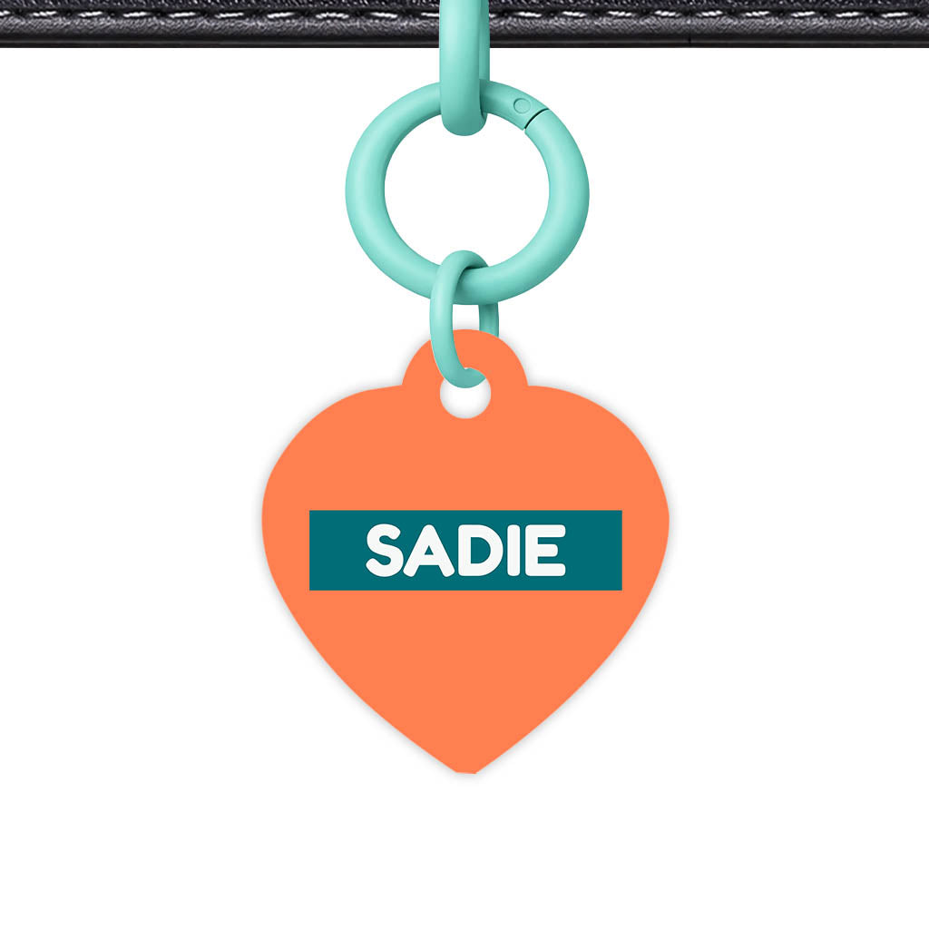 Orange Classic Pet Id (Dog Tag & Cat Tag)