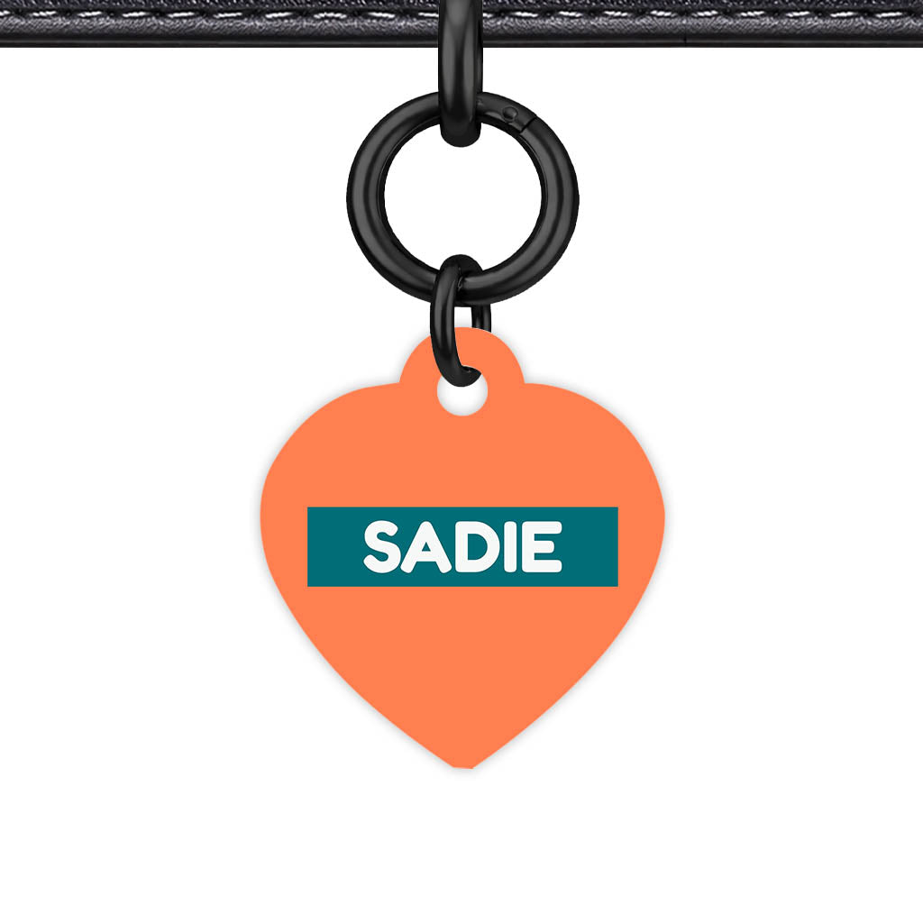 Orange Classic Pet Id (Dog Tag & Cat Tag)