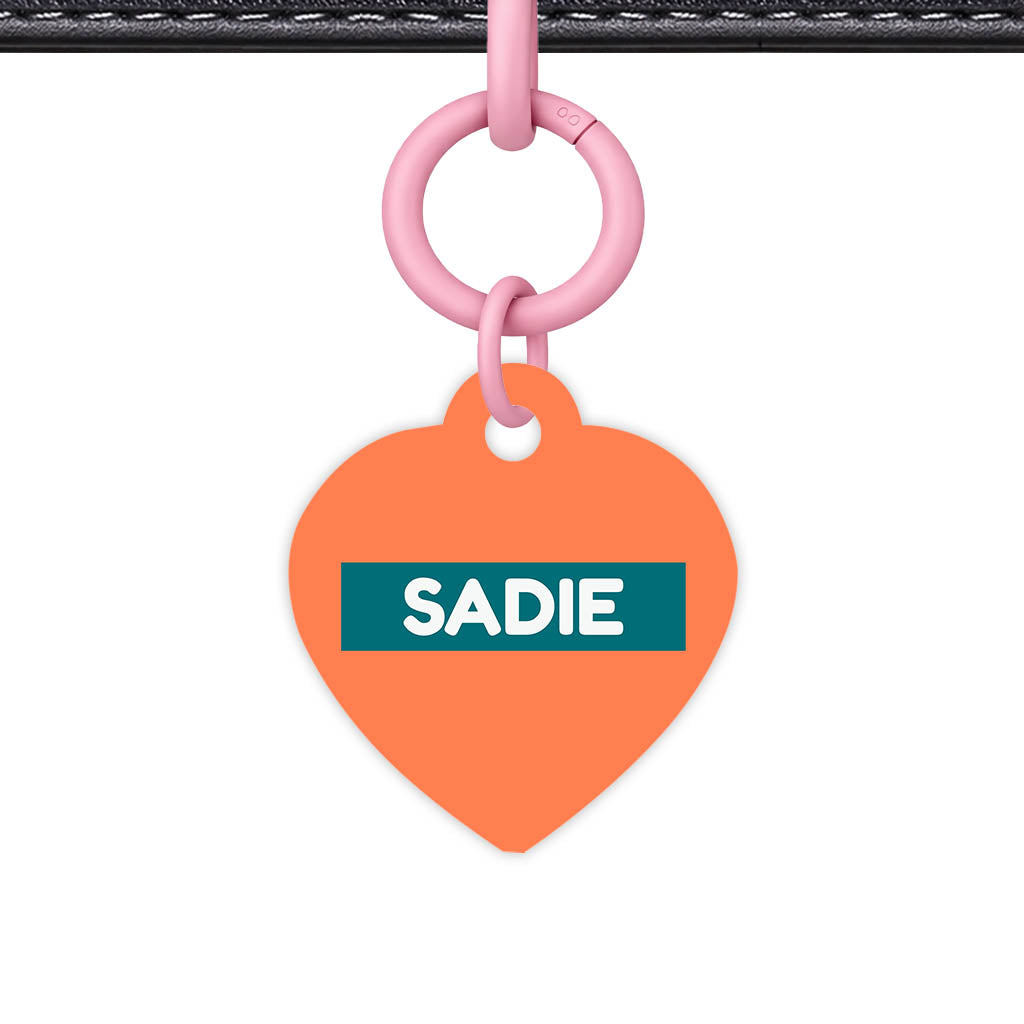 Orange Classic Pet Id (Dog Tag & Cat Tag)