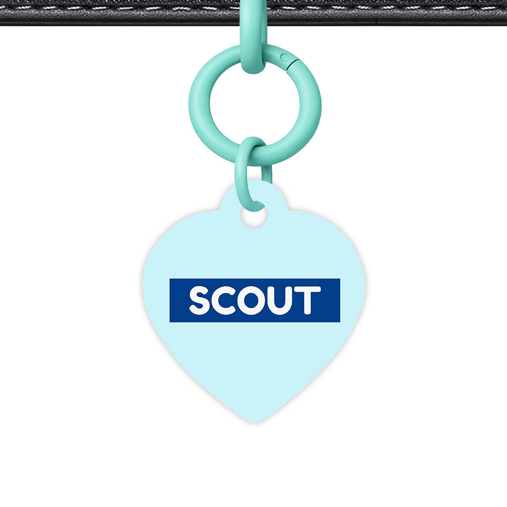 Pale Blue Classic Pet Id (Dog Tag & Cat Tag)