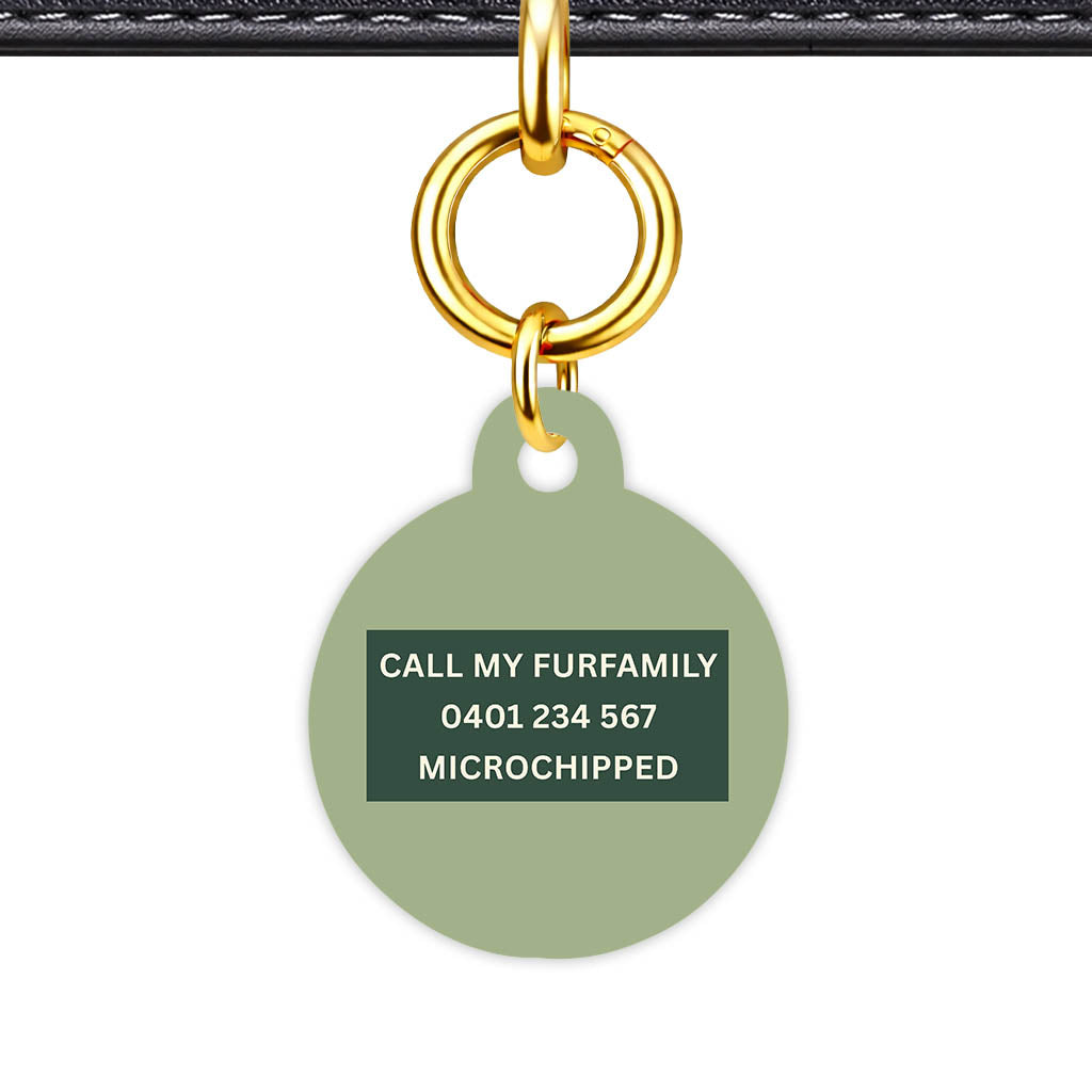 Olive Classic Pet Id (Dog Tag & Cat Tag)