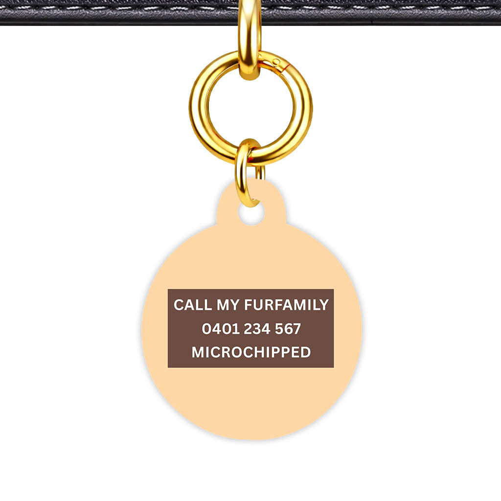 Chocolate Classic Pet Id (Dog Tag & Cat Tag)