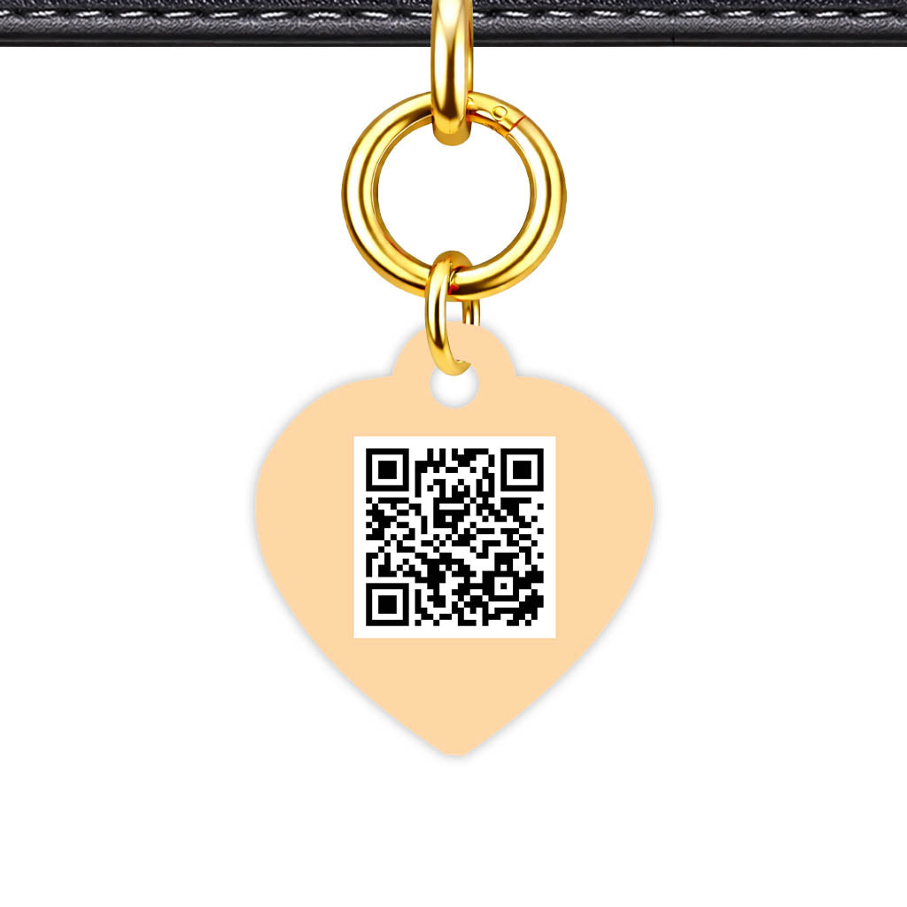 Chocolate QR Smart Pet Id Tag (Dog Tag & Cat Tag)