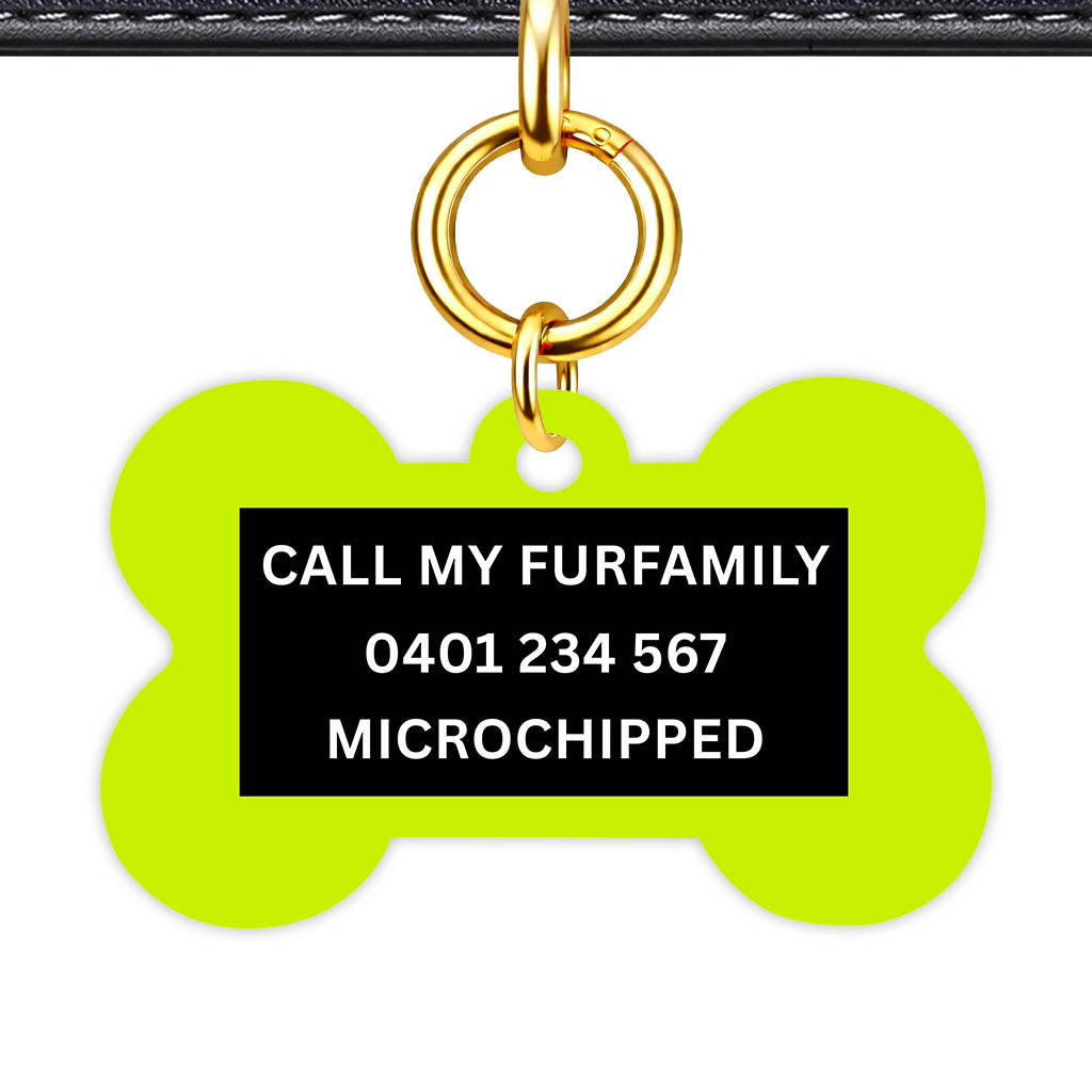 Neon Classic Pet Id (Dog Tag & Cat Tag)