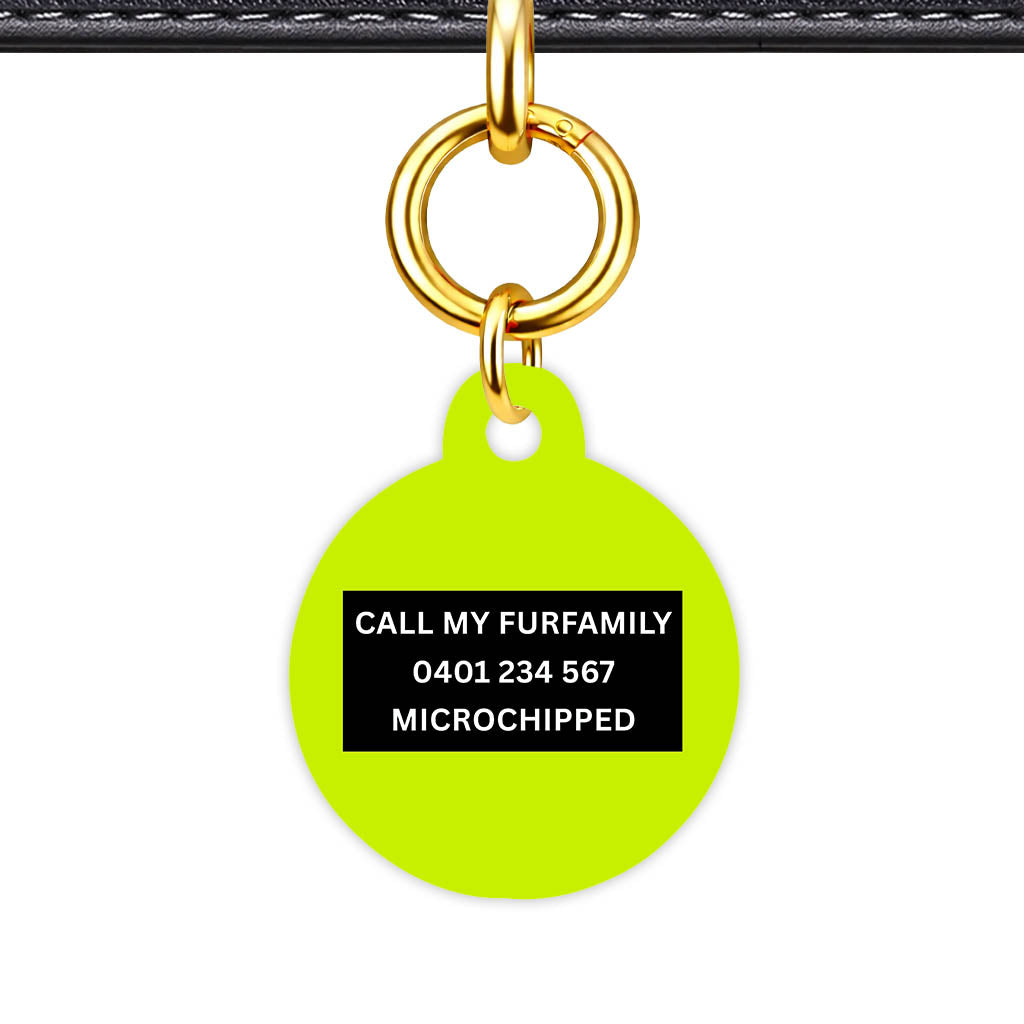 Neon Classic Pet Id (Dog Tag & Cat Tag)