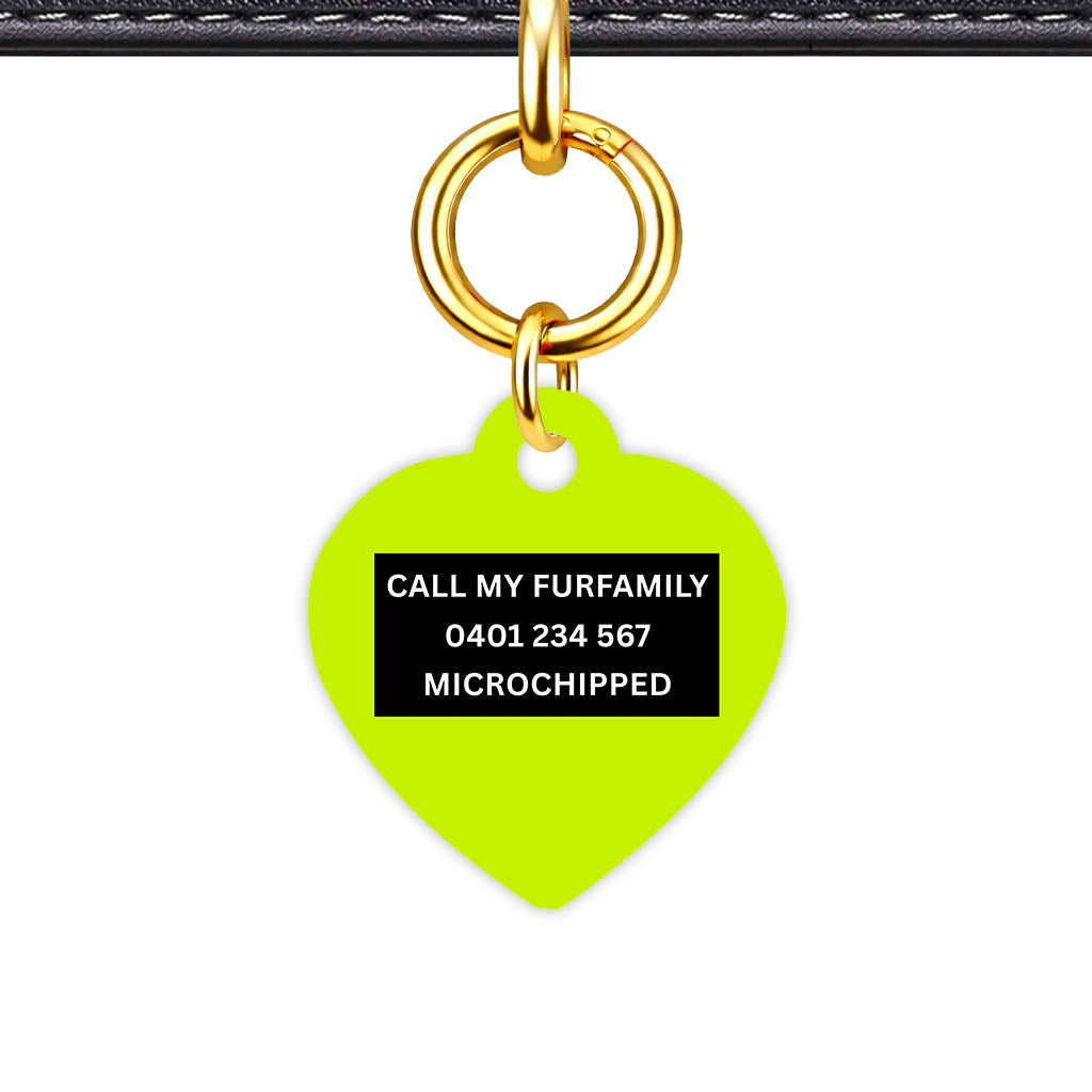 Neon Classic Pet Id (Dog Tag & Cat Tag)