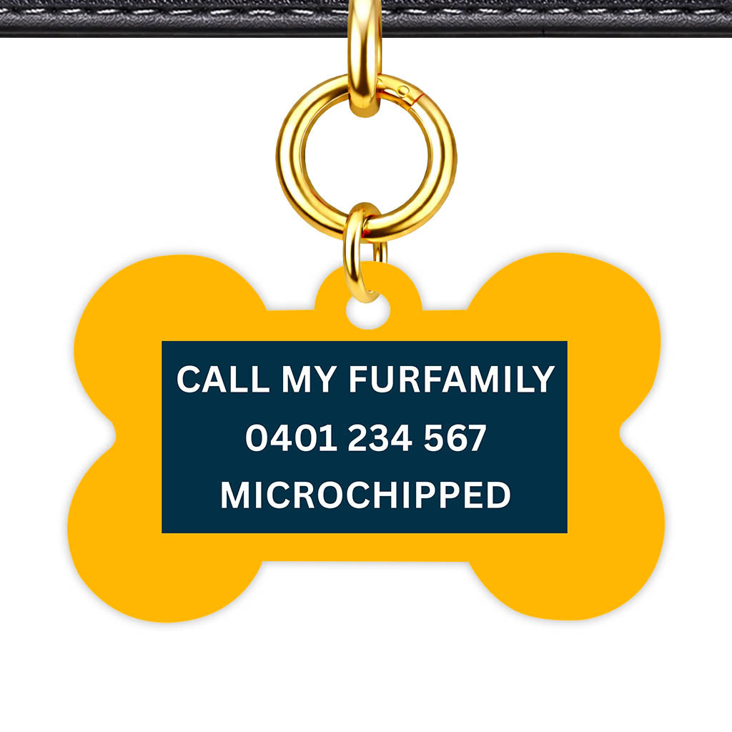 Teal Classic Pet Id - image 11