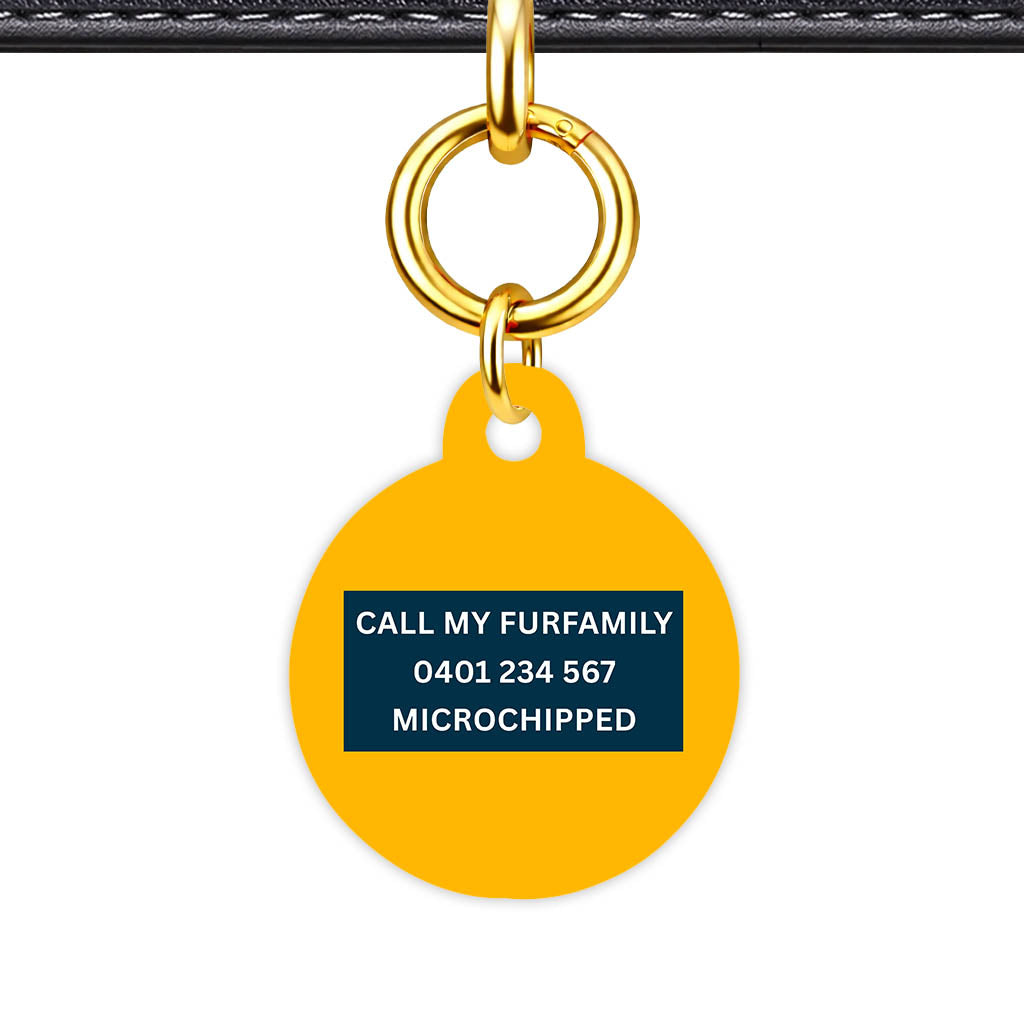 Teal Classic Pet Id - image 22