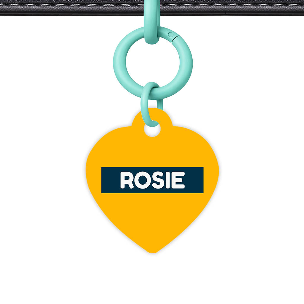 Teal Classic Pet Id - image 20